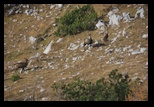 Triglav -Mali Draski -27-10-2013 - Bogdan Balaban